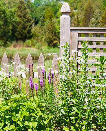 Garden Fence