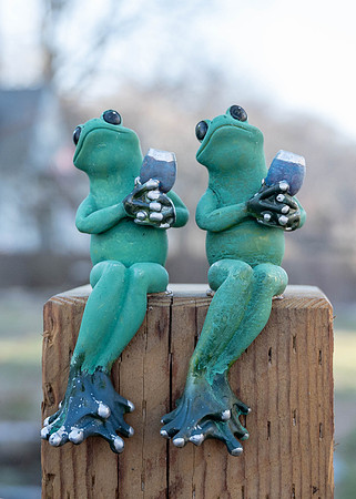 Cocktail Frogs
