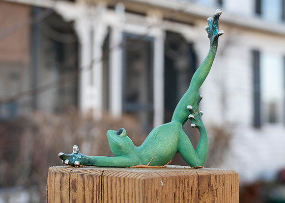 Low Stretch Frog