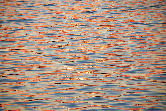 Golden Tide