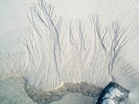 Tidal Art