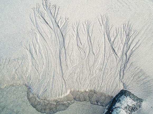 Tidal Art