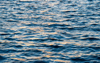 The Sea