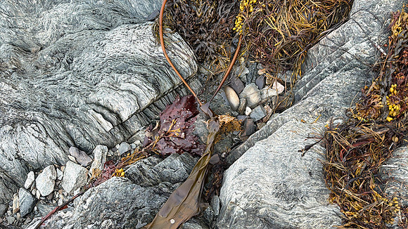 Coastal Art