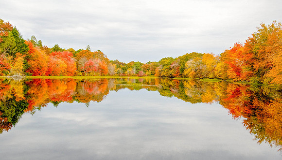 Autumn Panorama